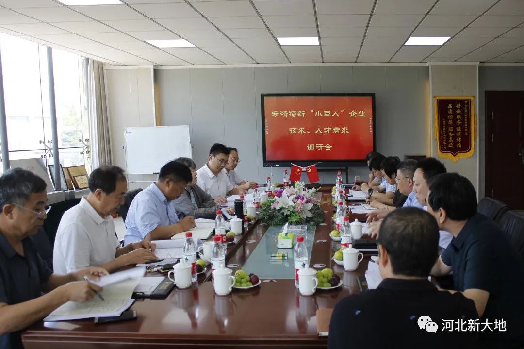 專精特新“小巨人”企業(yè)技術(shù)、人才需求調(diào)研組到河北新大地調(diào)研